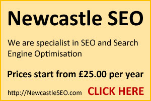 newcastle seo